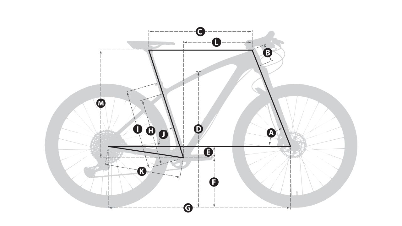 WIAWIS VENTER DISC